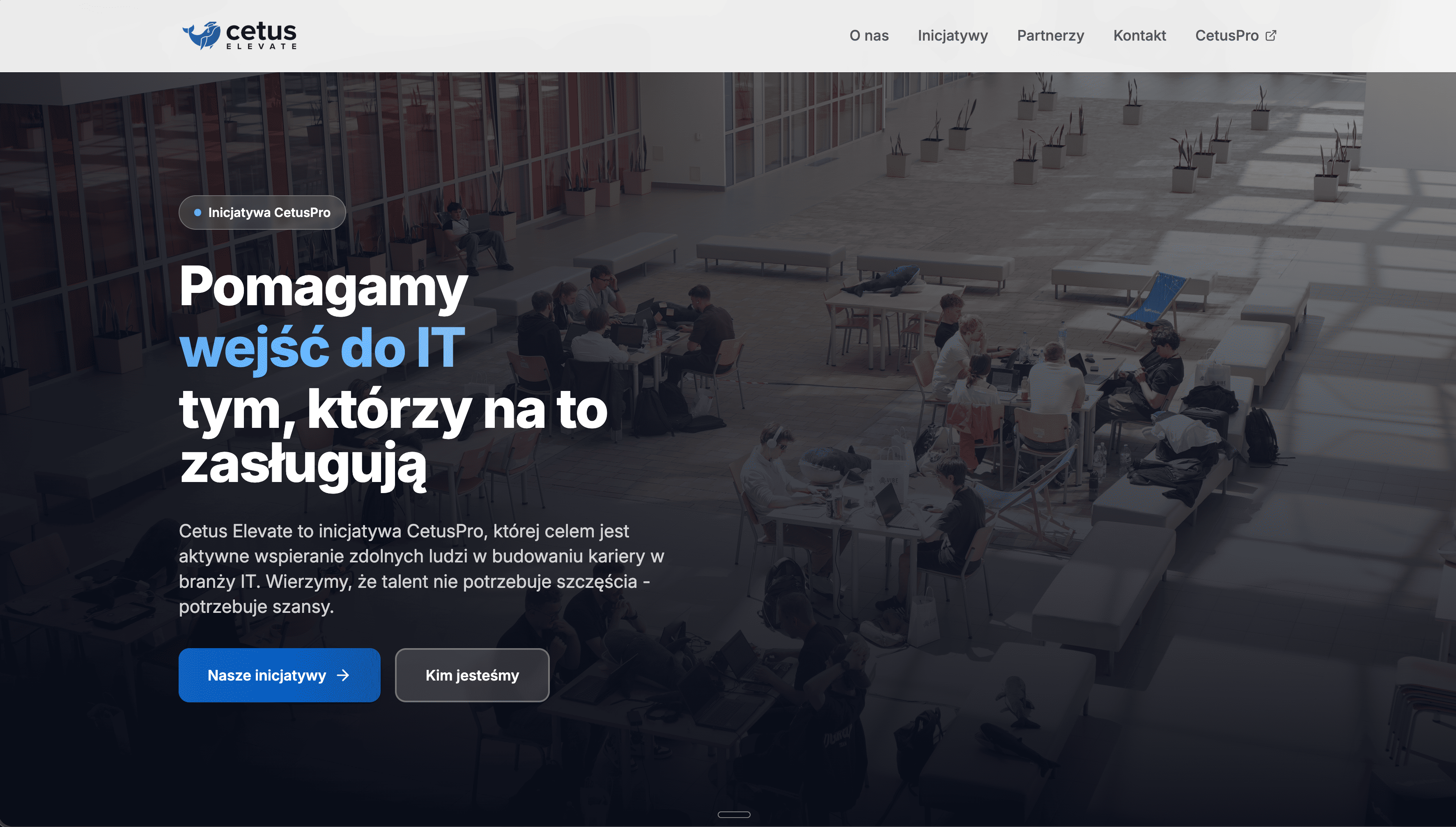 Elevate by CetusPro - program mentoringowy IT
